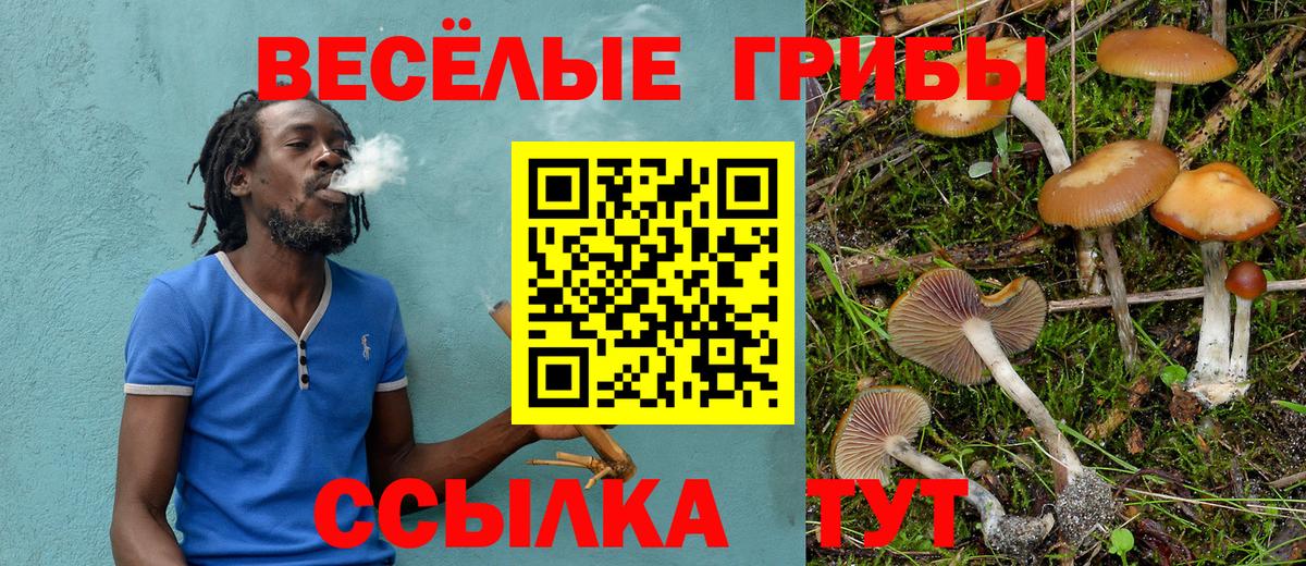 Псилоцибиновые грибы прущие грибы  Вход с VPN  Тосно  Псилоцибиновые грибы ЛСД 